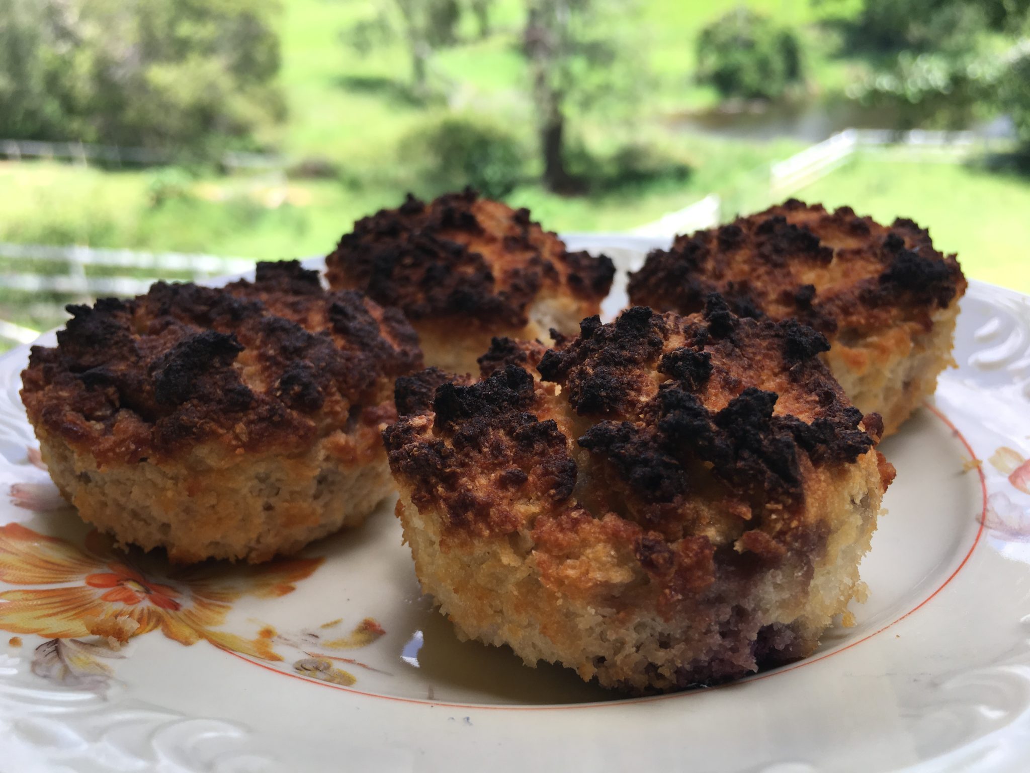 BLUEBERRY AND COCONUT MUFFINS