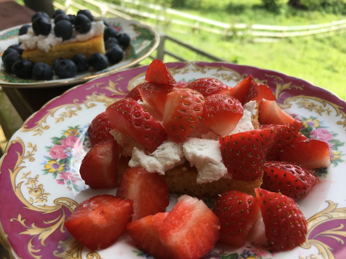 BERRY SHORT CAKE