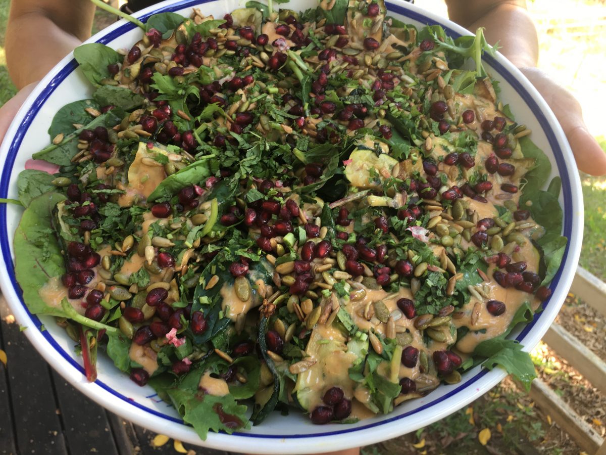 CHARGRILLED ZUCCHINI SALAD WITH POMEGRANATE