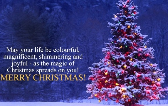 MERRY CHRISTMAS TO ALL,  site returning on 14th January 2020.
