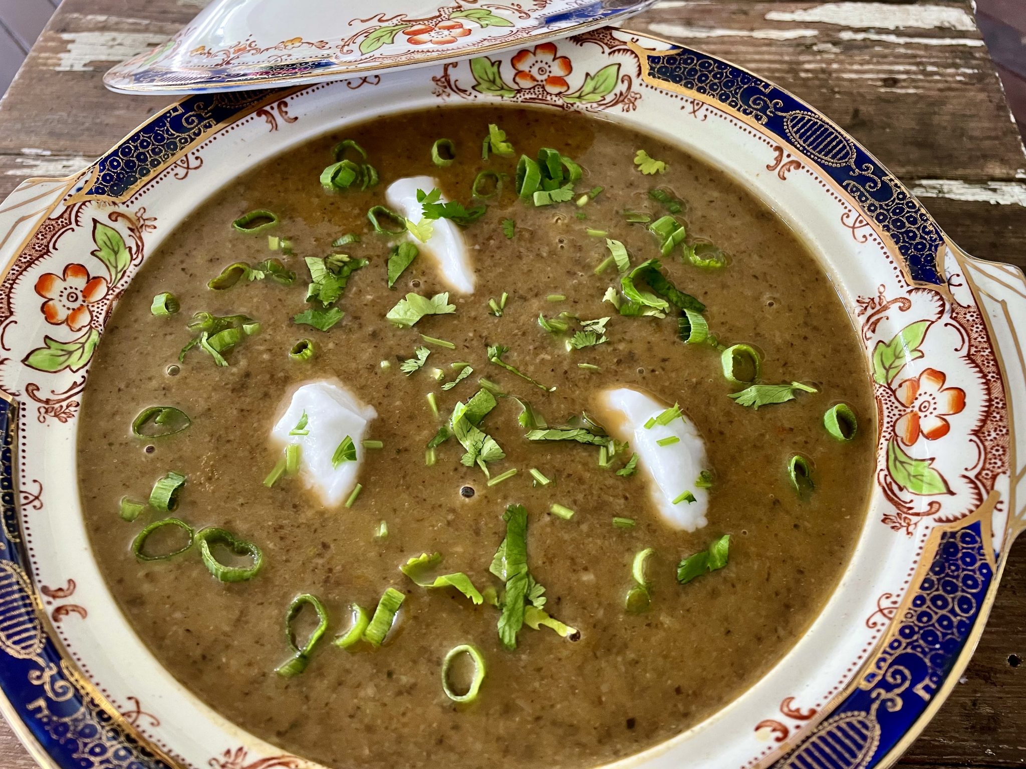 MUSHROOM AND BEAN SOUP