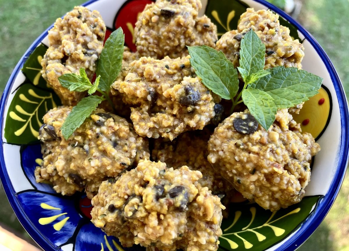 PROTEIN BITES WITH LUPIN FLAKES